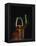 A Glass and a Bottle of Cognac-Armin Faber-Framed Premier Image Canvas