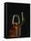 A Glass and a Bottle of Cognac-Armin Faber-Framed Premier Image Canvas