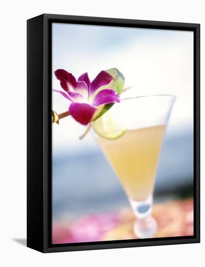 A Glass of Daiquiri, Garnished with Lime Peel & Flower-null-Framed Premier Image Canvas