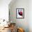 A Glass of Red Wine, Close-Up-Joerg Lehmann-Framed Photographic Print displayed on a wall