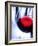 A Glass of Red Wine, Close-Up-Joerg Lehmann-Framed Photographic Print