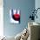 A Glass of Red Wine, Close-Up-Joerg Lehmann-Photographic Print displayed on a wall