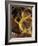 A Glass of Vin de Paille (Sweet Wine, France)-Jean-charles Vaillant-Framed Photographic Print