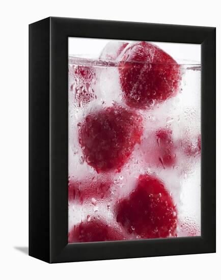 A Glass of Water with Raspberry Ice Cubes-Nadja Walger-Framed Premier Image Canvas