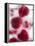 A Glass of Water with Raspberry Ice Cubes-Nadja Walger-Framed Premier Image Canvas