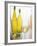 A Glass of White Wine and Wine Bottles in Background-Ulrike Koeb-Framed Photographic Print