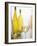 A Glass of White Wine and Wine Bottles in Background-Ulrike Koeb-Framed Photographic Print