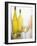 A Glass of White Wine and Wine Bottles in Background-Ulrike Koeb-Framed Photographic Print