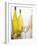 A Glass of White Wine and Wine Bottles in Background-Ulrike Koeb-Framed Photographic Print