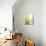 A Glass of White Wine and Wine Bottles in Background-Ulrike Koeb-Mounted Photographic Print displayed on a wall