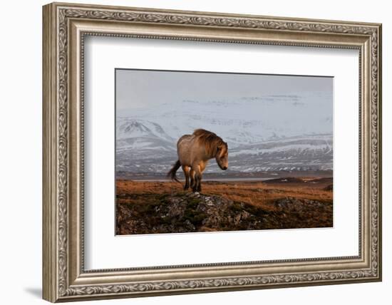 A Gleam from the Sun-null-Framed Art Print