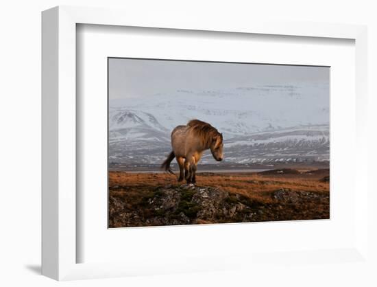 A Gleam from the Sun-null-Framed Art Print