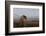 A gleam from the sun-Bragi Ingibergsson --Framed Photographic Print