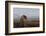 A gleam from the sun-Bragi Ingibergsson --Framed Photographic Print