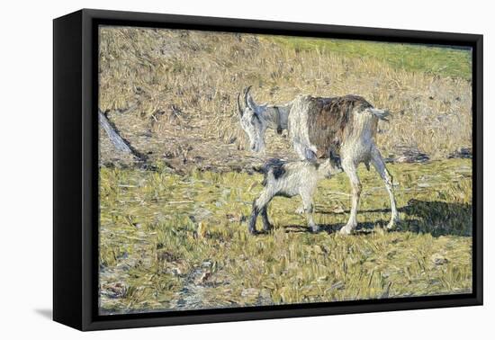 A Goat with Her Kid, 1890 (Oil on Canvas)-Giovanni Segantini-Framed Premier Image Canvas