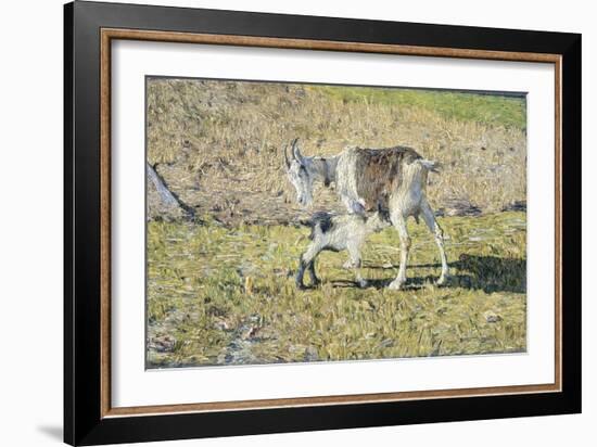 A Goat with Her Kid, 1890 (Oil on Canvas)-Giovanni Segantini-Framed Giclee Print