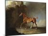 A Golden Chestnut Racehorse by a Rock Formation, 1800-Benjamin Marshall-Mounted Giclee Print