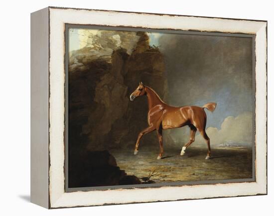 A Golden Chestnut Racehorse by a Rock Formation, 1800-Benjamin Marshall-Framed Premier Image Canvas