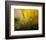 A Golden Morning Shower-null-Framed Premium Giclee Print