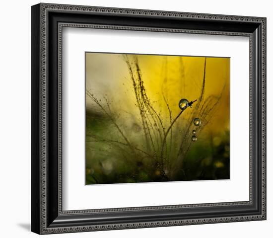 A Golden Morning Shower-null-Framed Premium Giclee Print