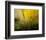 A Golden Morning Shower-null-Framed Premium Giclee Print