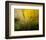 A Golden Morning Shower-null-Framed Premium Giclee Print