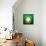 A Golden Soccer Ball with Laurel Wreath Against Shining Stars and Green-Olena Bogadereva-Art Print displayed on a wall