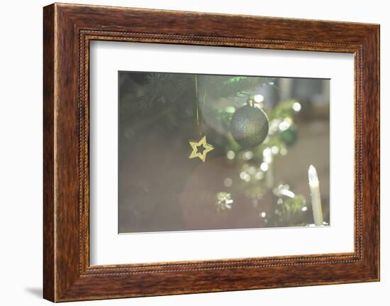 A Golden Star on the Christmas Tree-Petra Daisenberger-Framed Photographic Print