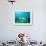 A Goliath Grouper Effortlessly Floats by a Shipwreck Off the Coast Key Largo, Florida-Stocktrek Images-Framed Photographic Print displayed on a wall