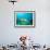 A Goliath Grouper Effortlessly Floats by a Shipwreck Off the Coast Key Largo, Florida-Stocktrek Images-Framed Photographic Print displayed on a wall