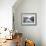 A Gondola Crossing the Grand Canal, Venice, UNESCO World Heritage Site, Veneto, Italy, Europe-Amanda Hall-Framed Photographic Print displayed on a wall