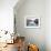 A Gondola Crossing the Grand Canal, Venice, UNESCO World Heritage Site, Veneto, Italy, Europe-Amanda Hall-Framed Photographic Print displayed on a wall