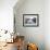 A Gondola Crossing the Grand Canal, Venice, UNESCO World Heritage Site, Veneto, Italy, Europe-Amanda Hall-Framed Photographic Print displayed on a wall