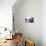 A Gondola Crossing the Grand Canal, Venice, UNESCO World Heritage Site, Veneto, Italy, Europe-Amanda Hall-Photographic Print displayed on a wall