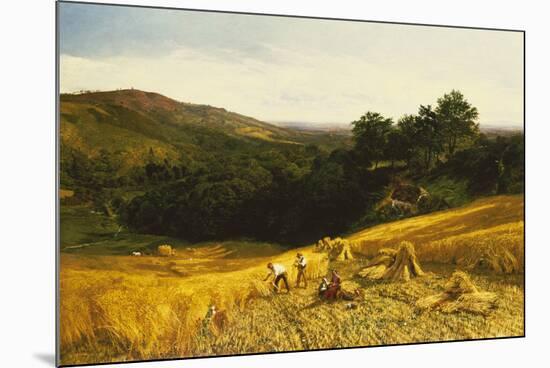 A Good Harvest-George Vicat Cole-Mounted Giclee Print