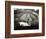 A Goose Takes Cover from the Heavy Rainfall Underneath an Umbrella, Dorset, October 1968-null-Framed Photographic Print