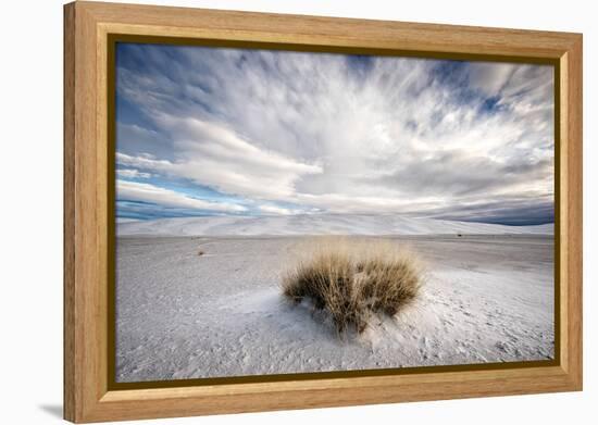 A Grass Mound in a Barren Desert in USA-Jody Miller-Framed Premier Image Canvas