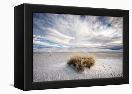 A Grass Mound in a Barren Desert in USA-Jody Miller-Framed Premier Image Canvas