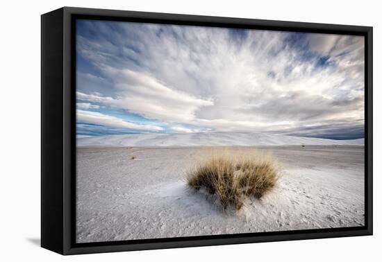 A Grass Mound in a Barren Desert in USA-Jody Miller-Framed Premier Image Canvas