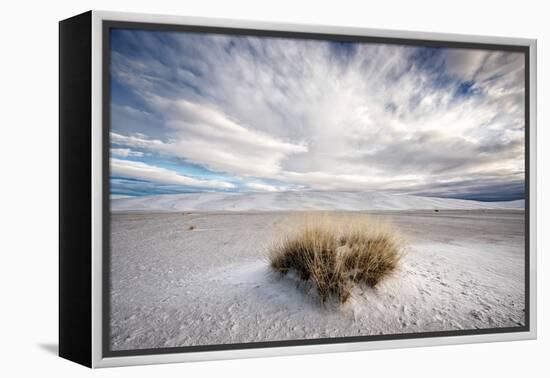 A Grass Mound in a Barren Desert in USA-Jody Miller-Framed Premier Image Canvas