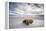 A Grass Mound in a Barren Desert in USA-Jody Miller-Framed Premier Image Canvas