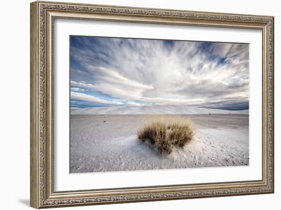 A Grass Mound in a Barren Desert in USA-Jody Miller-Framed Photographic Print