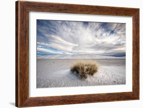 A Grass Mound in a Barren Desert in USA-Jody Miller-Framed Photographic Print