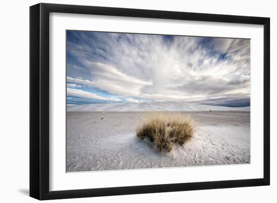 A Grass Mound in a Barren Desert in USA-Jody Miller-Framed Photographic Print