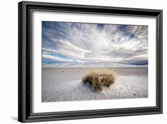 A Grass Mound in a Barren Desert in USA-Jody Miller-Framed Photographic Print