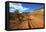 A Gravel Road Skirts the Capitol Reef in Capitol Reef National Park, Utah-Richard Wright-Framed Premier Image Canvas