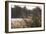 A Gray Heron, Ardea Cinerea, in Grass-Alex Saberi-Framed Photographic Print