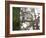 A Gray Squirrel Nibbles Nuts on a Tree Branch in Richmond Park-Alex Saberi-Framed Photographic Print