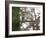 A Gray Squirrel Nibbles Nuts on a Tree Branch in Richmond Park-Alex Saberi-Framed Photographic Print