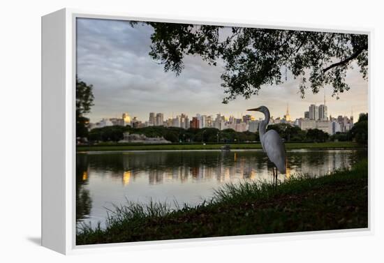 A Great Egret Looks Out over a Lake in Sao Paulo's Ibirapuera Park-Alex Saberi-Framed Premier Image Canvas